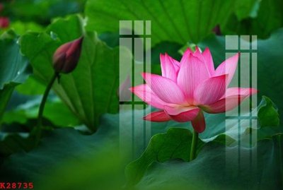 Download file gốc File gốc in tranh tổng hợp K28735 (dùng cho in ấn)