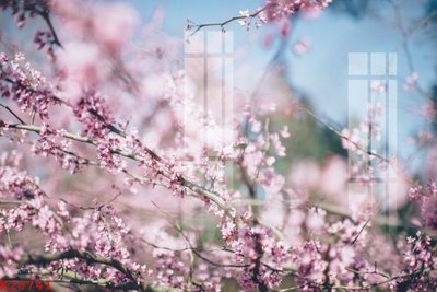 File gốc File gốc in tranh tổng hợp K28741 (phong cách) tối giản