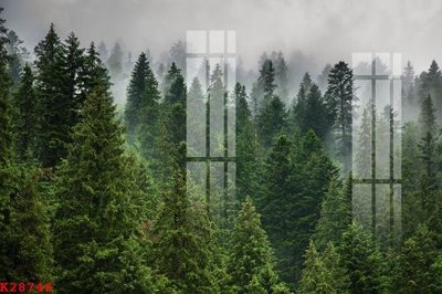 Download file gốc File gốc in tranh tổng hợp K28748 (in lụa) nghệ thuật