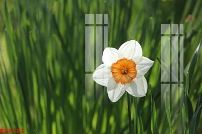 Ảnh gốc File gốc in tranh tổng hợp K28782 (nét căng) in mica