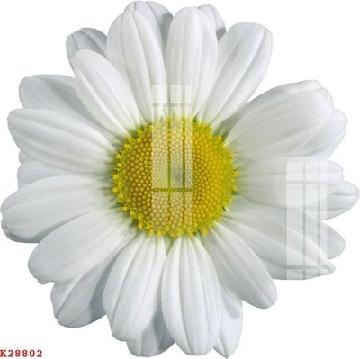 File gốc File gốc in tranh tổng hợp K28802 (thiết kế) độc quyền