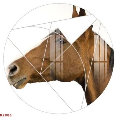 Ảnh gốc file in lụa File gốc in tranh tổng hợp K2886 chi tiết