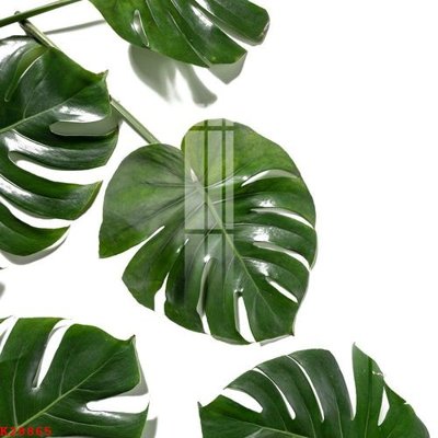 Ảnh mô tả file gốc in mica File gốc in tranh tổng hợp K28865