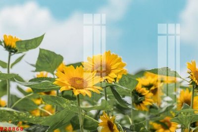 Tải file File gốc in tranh tổng hợp K28868 (gốc) in ấn ngay lập tức