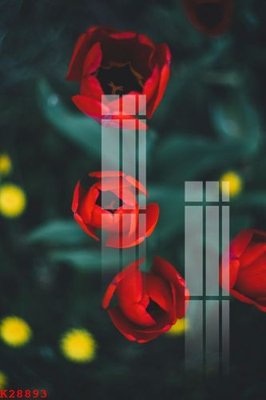 Tải file File gốc in tranh tổng hợp K28893 (PSD) cho in tranh kính