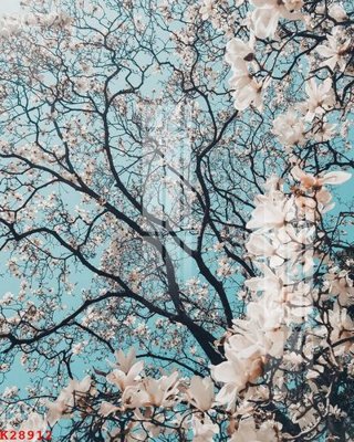 File gốc in tráng gương File gốc in tranh tổng hợp K28912 chi tiết