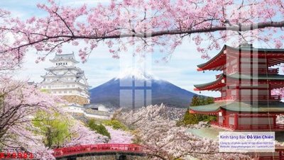 File tranh File gốc in tranh tổng hợp K28981 (gốc) in film