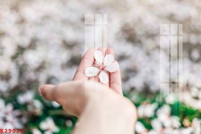 File tranh File gốc in tranh tổng hợp K29023 (ảnh gốc) in trần nhà