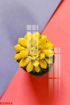 File ảnh File gốc in tranh tổng hợp K29064 (gốc) in poster