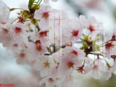 File gốc File gốc in tranh tổng hợp K29094 (trang trí) phòng làm việc