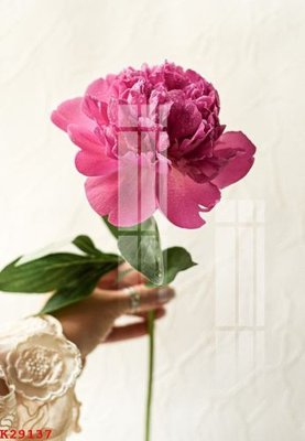 File in mica File gốc in tranh tổng hợp K29137 (ảnh gốc) đẹp