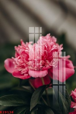 Tải file File gốc in tranh tổng hợp K29138 (ảnh gốc) độ phân giải 300dpi