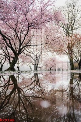 Download file File gốc in tranh tổng hợp K29146 (chuẩn in) chất lượng cao