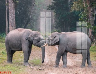 Tải file gốc File gốc in tranh tổng hợp K29153 (bản PSD) gốc