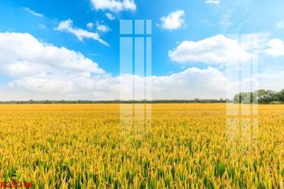 Tải về file tranh gốc File gốc in tranh tổng hợp K29246 (để in quảng cáo)