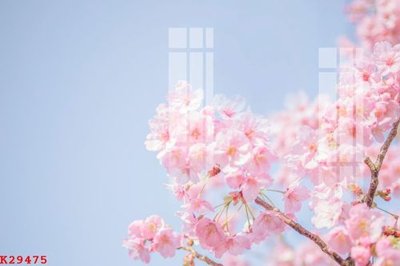 Ảnh gốc File gốc in tranh tổng hợp K29475 (siêu chi tiết) để in ấn