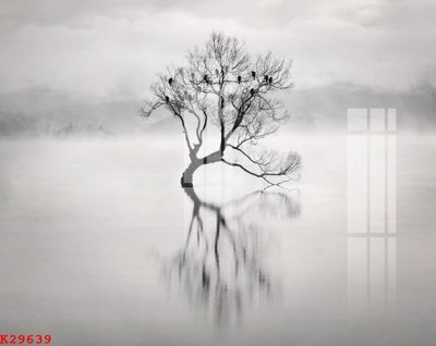 File tranh File gốc in tranh tổng hợp K29639 (gốc) in trên kính