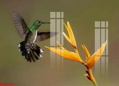 Tải file File gốc in tranh tổng hợp K29717 (ảnh gốc) file TIFF