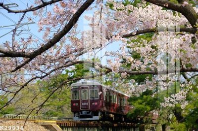 File in ấn chuyên nghiệp File gốc in tranh tổng hợp K29834 (file gốc)