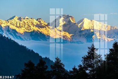 Tải file tranh File gốc in tranh tổng hợp K29847 (gốc) tại Filetranh.com