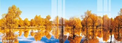 File in trần File gốc in tranh tổng hợp K30072 (bản gốc) bầu trời