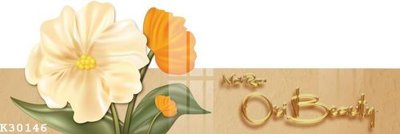 Download file tranh PSD File gốc in tranh tổng hợp K30146 để chỉnh sửa