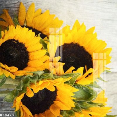 Tệp tin gốc File gốc in tranh tổng hợp K30473 (dùng cho in ấn) chuyên nghiệp