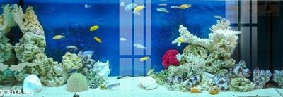 File in lụa File gốc in tranh tổng hợp K30530 (chất lượng cao) File gốc in tranh tổng hợp K30530