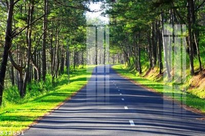 File gốc File gốc in tranh tổng hợp K30551 (trang trí) phòng trẻ em