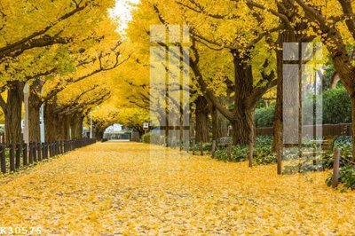 Tải file File gốc in tranh tổng hợp K30576 (gốc) in ấn chất lượng