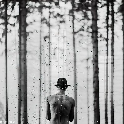 File tranh File gốc in tranh tổng hợp K30902 (file gốc) chủ đề phong thủy