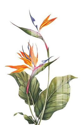 File in mica File gốc in tranh tổng hợp K30908 (ảnh gốc) đẹp