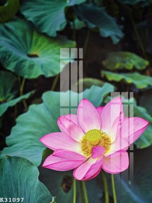 File in lụa File gốc in tranh tổng hợp K31097 (phong cảnh) File gốc in tranh tổng hợp K31097