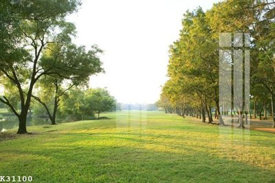 Hình ảnh file gốc File gốc in tranh tổng hợp K31100 (chất lượng cao)