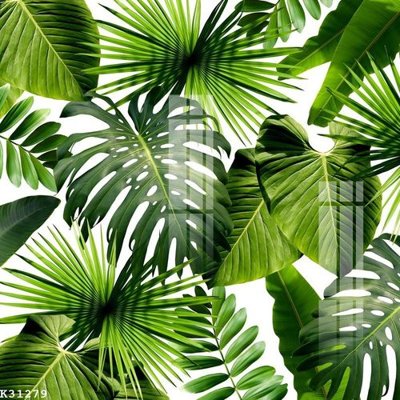 File gốc File gốc in tranh tổng hợp K31279 (in tráng gương) sang trọng