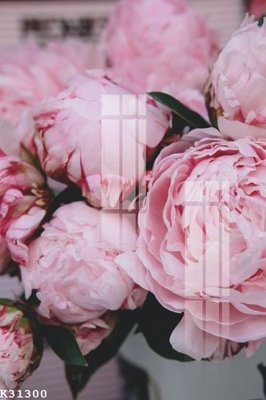 File tranh File gốc in tranh tổng hợp K31300 (gốc) chủ đề tĩnh vật