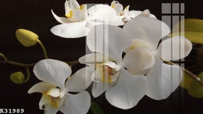 File gốc File gốc in tranh tổng hợp K31989 (in ấn) không giới hạn