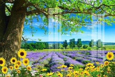 Tải file gốc File gốc in tranh tổng hợp K32018 (bản PSD) chỉnh sửa được