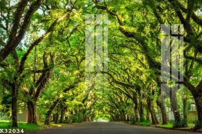 File in trần File gốc in tranh tổng hợp K32034 (bản gốc) đại dương