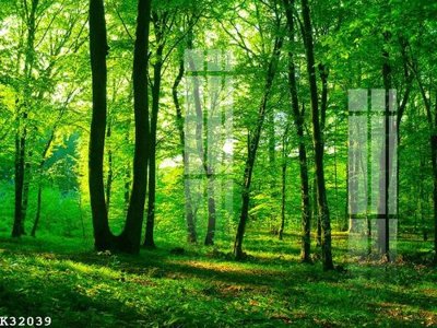 File PSD File gốc in tranh tổng hợp K32039 (gốc) cho designer