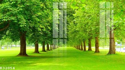 File in trần File gốc in tranh tổng hợp K32054 (file gốc) phong thủy