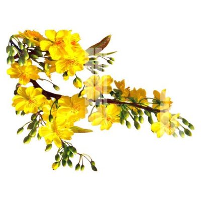 Tải file gốc File gốc in tranh tổng hợp K32144 (in bạt) quảng cáo