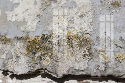 File in ấn File gốc in tranh tổng hợp K32182 (bản gốc) cao cấp