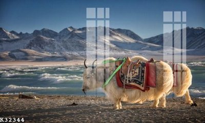 File in ấn File gốc in tranh tổng hợp K32344 (bản gốc) sắc nét