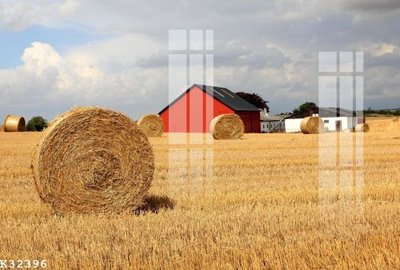 File tranh gốc in trần nhà File gốc in tranh tổng hợp K32396 3D