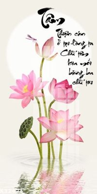 File tranh File gốc in tranh tổng hợp K32424 (gốc) in backlit film