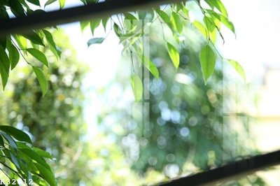 File gốc File gốc in tranh tổng hợp K32612 (in lụa) trang trí tường