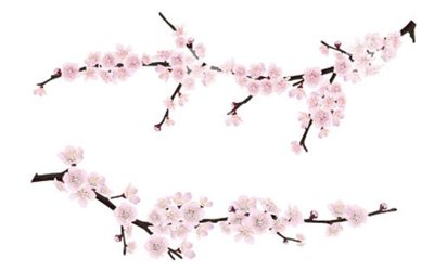 File ảnh File gốc in tranh tổng hợp K33468 (gốc) in PP, decal