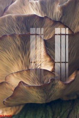 Tải file File gốc in tranh tổng hợp K3392 (gốc) làm tranh treo tường