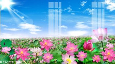 File in trần File gốc in tranh tổng hợp K34153 (bản gốc) bầu trời